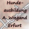 www.hundeausbildung-erfurt.de