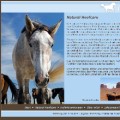 Natural Hoof