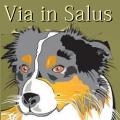 www.via-in-salus.de